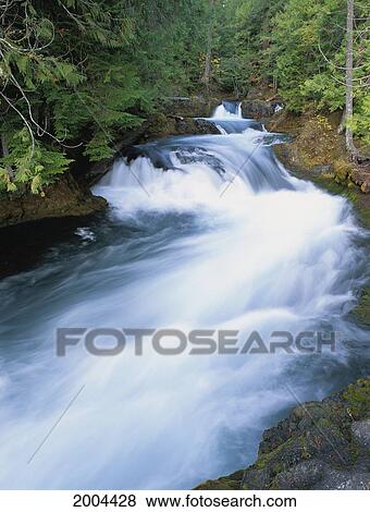 Oregon, Cascade Mountains, Mckenzie River Above Sahalie Falls, Rushing Water Action View Large Photo Image Stock Photo - Oregon, Cascade Mountains, Mckenzie River Above Sahalie Falls, Rushing Water Action. Fotosearch
