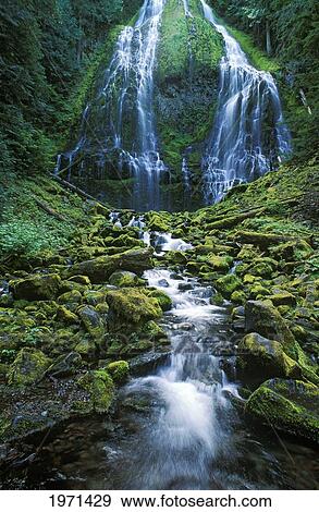 Oregon, Cascade Mountains, Willamette National Forest, Three Sisters Wilderness, Lower Proxy Falls. View Large Photo Image Stock Photo - Oregon, Cascade Mountains, Willamette National Forest, Three Sisters Wilderness, Lower Proxy Falls.. Fotosearch