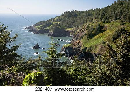 Oregon, Central Coast, Green Mountainous Coastline. View Large Photo Image Stock Photo - Oregon, Central Coast, Green Mountainous Coastline.. Fotosearch