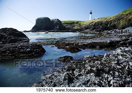 Stock Image - Oregon, Central Coast, Yaquina Head Historic Lighthouse And Natural Wilderness Area.. Fotosearch