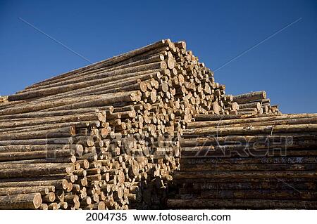 Oregon, Coos Bay, Piles Of Timber At Logging Company. View Large Photo Image Stock Photography - Oregon, Coos Bay, Piles Of Timber At Logging Company.. Fotosearch
