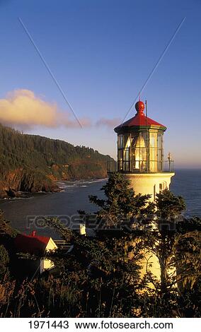 Stock Image - Oregon, Heceta Head Lighthouse Along Oregon Coast, Evening Light.. Fotosearch