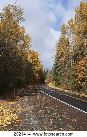 Picture - Oregon, Mount Hood, Highway Near The Hood River, Lush Forest.. Fotosearch
