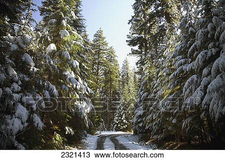 Oregon, Mount Hood, Snowy Wilderness Near The Hood River. View Large Photo Image Stock Image - Oregon, Mount Hood, Snowy Wilderness Near The Hood River.. Fotosearch