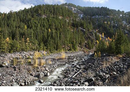 Oregon, Mount Hood, Stream From The Hood River, Lush Forest. View Large Photo Image Stock Image - Oregon, Mount Hood, Stream From The Hood River, Lush Forest.. Fotosearch