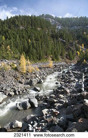 Stock Image - Oregon, Mount Hood, Stream From The Hood River, Lush Forest.. Fotosearch