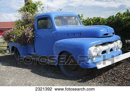 Oregon, Portland, Sauvie Island, Rustic Farm Truck Planter Overflowing With Flowers. View Large Photo Image Stock Image - Oregon, Portland, Sauvie Island, Rustic Farm Truck Planter Overflowing With Flowers.. Fotosearch