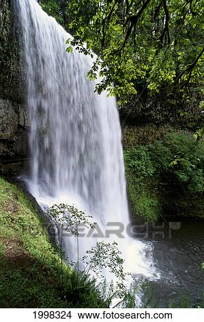 Oregon, Silver Falls State Park, Lower South Falls, B1648 View Large Photo Image Picture - Oregon, Silver Falls State Park, Lower South Falls, B1648. Fotosearch