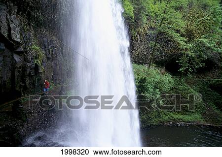 Stock Image - Oregon, Silver Falls State Park, Lower South Falls. Fotosearch