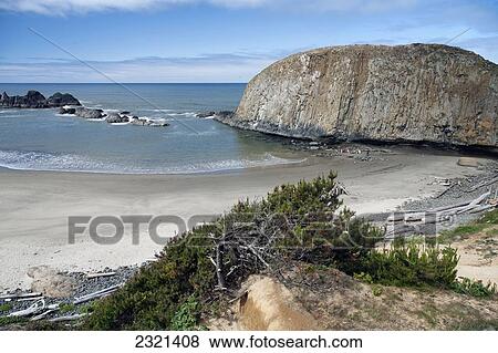 Stock Photo - Oregon, Southern Coast, Jessie M Honeyman Memorial State Park, Beach And Ocean With Large Rock Formation In The Distance.. Fotosearch