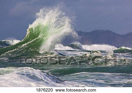 Oregon, United States Of America; A Crashing Wave Along The Coast View Large Photo Image Stock Image - Oregon, United States Of America; A Crashing Wave Along The Coast. Fotosearch