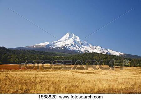 Stock Image - Oregon, United States Of America; Mount Hood From Hood River Valley. Fotosearch