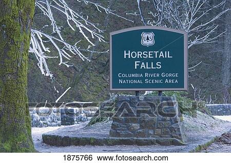 Oregon, United States Of America; Sign Of Horsetail Falls In The Columbia River Gorge National Scenic Area In Winter View Large Photo Image Stock Photograph - Oregon, United States Of America; Sign Of Horsetail Falls In The Columbia River Gorge National Scenic Area In Winter. Fotosearch