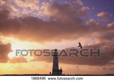 Oregon, United States Of America; Yaquina Head Lighthouse At Sunset View Large Photo Image Stock Photograph - Oregon, United States Of America; Yaquina Head Lighthouse At Sunset. Fotosearch