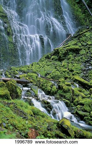 Stock Photo - Oregon, Willamette Valley, Lower Proxy Falls, Green Mossy Rocks, Waterfall A51D. Fotosearch