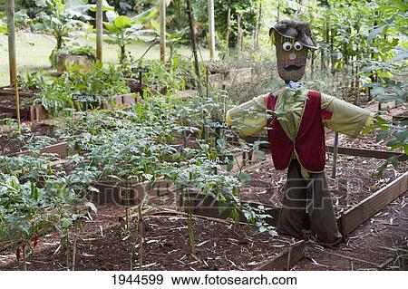Stock Photo - Organic Garden Of Iguazu Grand Hotel, Puerto Iguazu, Misiones, Argentina. Fotosearch