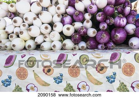 Stock Photo - Organic Onions At The Santa Fe Farmers Market At The Renovated Rail Yard, Santa Fe, New Mexico, Usa. Fotosearch