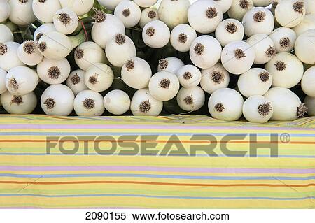 Stock Photography - Organic Onions At The Santa Fe Farmers Market At The Renovated Rail Yard, Santa Fe, New Mexico, Usa. Fotosearch