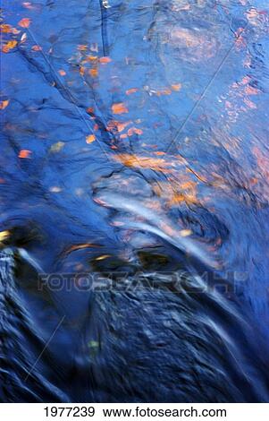Stock Photo - Orisha, Massachusetts, Seekonk, Caratunk Wildlife Refuge, Water Patterns And Reflections Of Leaves.. Fotosearch