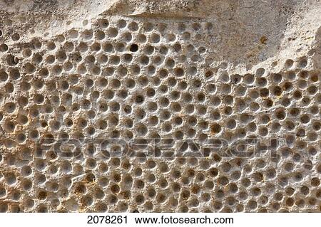 Ornate Altar In A Niche Of The South Temple; Mnajdra Megalithic Temple Complex, Malta View Large Photo Image Stock Image - Ornate Altar In A Niche Of The South Temple; Mnajdra Megalithic Temple Complex, Malta. Fotosearch