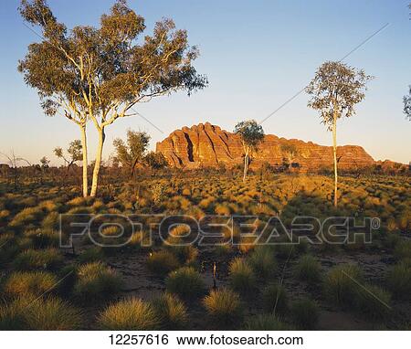 Stock Photograph - Outback Australia with rock formation in the distance; Northern Territory, Australia. Fotosearch