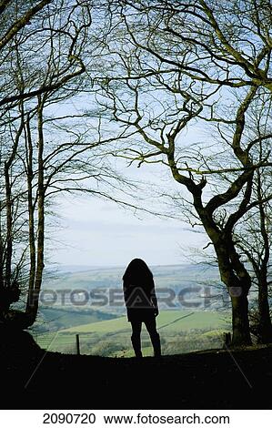 Stock Image - Outline Of Female Walker And Silhouetted Trees In A Woodland, Overlooking Bampton Downs, Fields, Hills And Valleys In Mid Devon, South West, Uk. Fotosearch