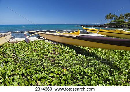 Stock Photo - Outrigger canoes on Kuki'o Beach and Bay; Big Island, Hawaii, United States of America. Fotosearch