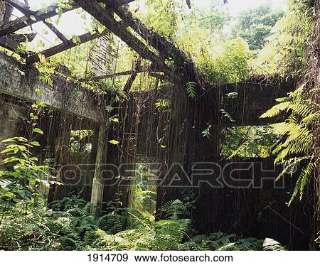 Stock Photo - Overgrown Derelict Hospital. Fotosearch