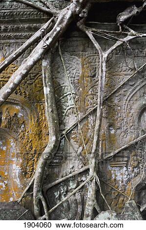Stock Image - Overgrown Temple Of Ta Prohm, Angkor, Siem Reap, Cambodia. Fotosearch
