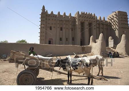 Ox cart in front of the Grand Mosque, Djenne, Mali View Large Photo Image Stock Photograph - Ox cart in front of the Grand Mosque, Djenne, Mali. Fotosearch