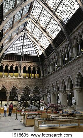 Stock Photography - Oxford Uni Museum Of Natural History,; Oxford, England. Fotosearch