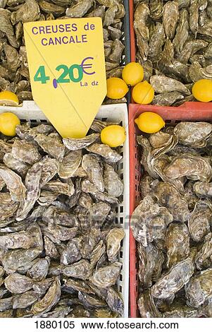 Stock Photography - Oysters For Sale At Stall, Close Up. Fotosearch