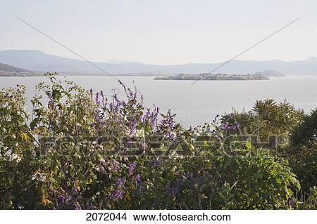 Pacanda Island And Janitzio Island In P View Large Photo Image Picture - Pacanda Island And Janitzio Island In P. Fotosearch