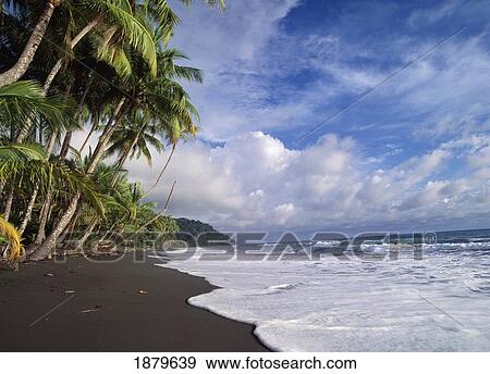 Pacific Coast At Tiskita View Large Photo Image Stock Photo - Pacific Coast At Tiskita. Fotosearch
