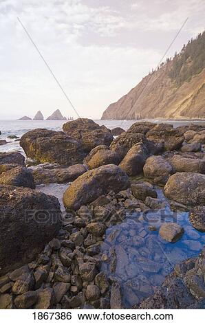 Stock Photograph - Pacific Ocean, Tillamook Head, Oregon, Usa. Fotosearch