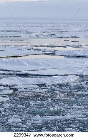 Stock Photo - Pack Ice Off The West Coast Of Greenland.. Fotosearch