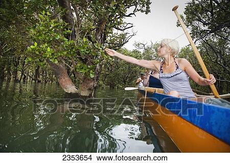 Paddling On A Waka With A Maori Guide In The Bay Of Islands; New Zealand View Large Photo Image Picture - Paddling On A Waka With A Maori Guide In The Bay Of Islands; New Zealand. Fotosearch
