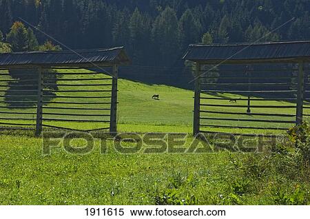 Stock Photography - Paddock At Triglav National Park, Kranjska Gora, Slovenia. Fotosearch