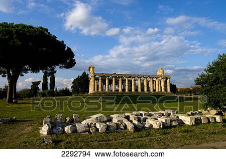 Picture - Paestum, Athena, Ruins, Campania, Italy. Fotosearch