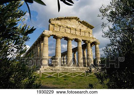 Paestum, Athena, Ruins, Campania, Italy View Large Photo Image Stock Photo - Paestum, Athena, Ruins, Campania, Italy. Fotosearch