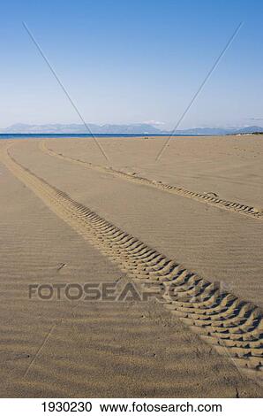 Paestum, Beach, Campania, Italy View Large Photo Image Stock Image - Paestum, Beach, Campania, Italy. Fotosearch