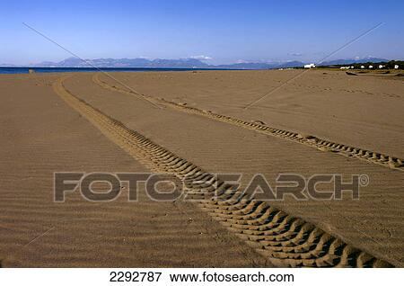 Stock Photo - Paestum, Beach, Campania, Italy. Fotosearch