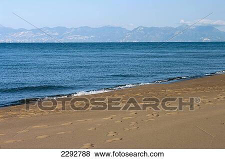 Paestum, Beach, Campania, Italy View Large Photo Image Stock Photo - Paestum, Beach, Campania, Italy. Fotosearch