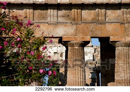 Stock Photograph - Paestum, Hera, Ruins, Campania, Italy. Fotosearch