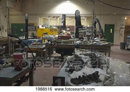 Paleontological Preparation Laboratory In Royal Tyrell Museum, Drumheller, Alberta, Canada View Large Photo Image Stock Photograph - Paleontological Preparation Laboratory In Royal Tyrell Museum, Drumheller, Alberta, Canada. Fotosearch