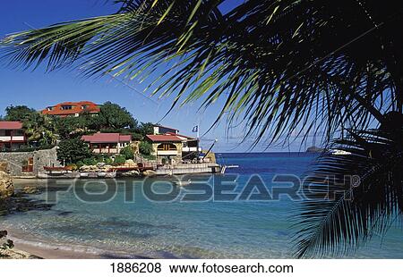 Palm And Beach With Houses Next To The Sea View Large Photo Image Stock Photo - Palm And Beach With Houses Next To The Sea. Fotosearch