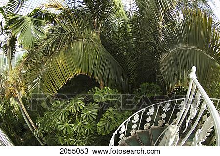 Stock Image - Palm House At Royal Botanic Gardens, Kew, Surrey, England, United Kingdom. Fotosearch