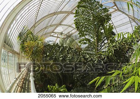 Stock Photography - Palm House At Royal Botanic Gardens, Kew, Surrey, England, United Kingdom. Fotosearch