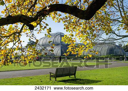 Stock Image - Palm House, Kew Gardens; London, England. Fotosearch