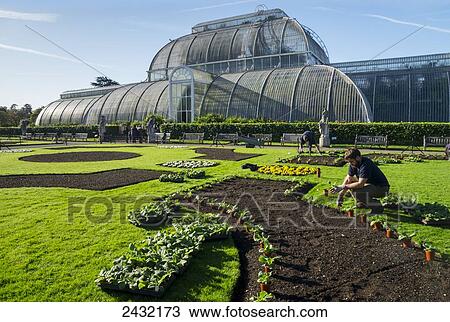 Palm House, Kew Gardens; London, England View Large Photo Image Stock Image - Palm House, Kew Gardens; London, England. Fotosearch